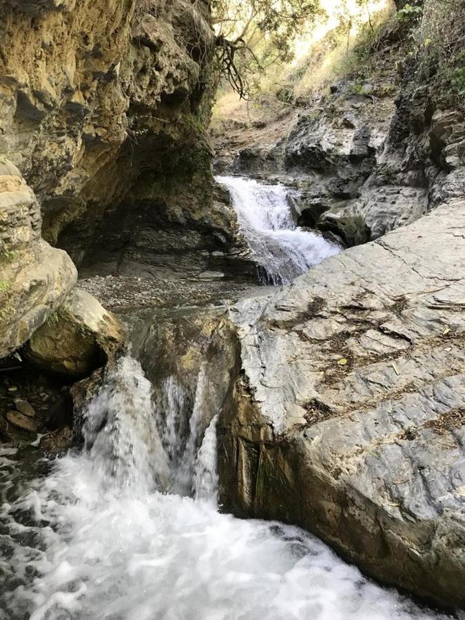 Secret Garden Retreats Otel Júzcar Dış mekan fotoğraf