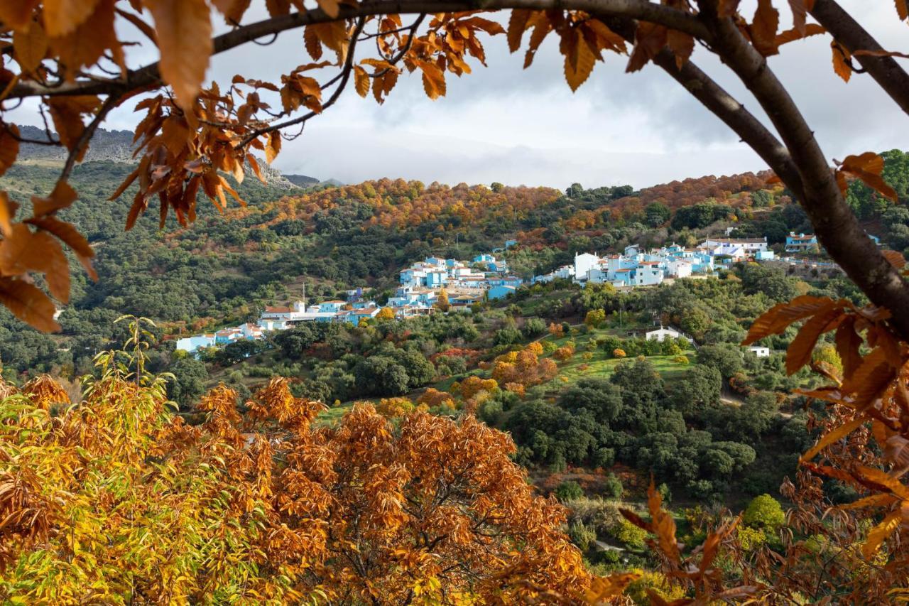 Secret Garden Retreats Otel Júzcar Dış mekan fotoğraf